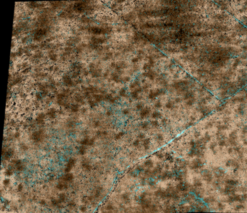 Digitally defoliated bare-earth terrain model
